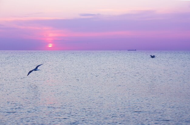 Hermoso amanecer en el mar