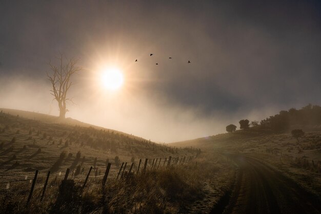 Hermoso amanecer en Ouse, Tasmania