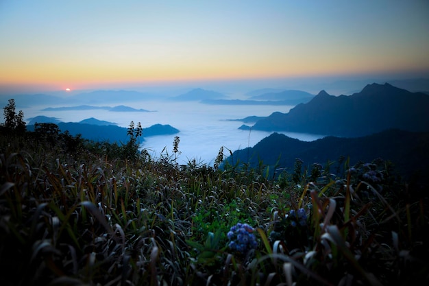 Hermoso amanecer en phu chi fa chiang rai al norte de tailandia