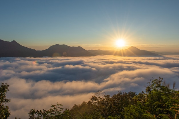 Hermoso amanecer sobre la montaña con niebla por la mañana