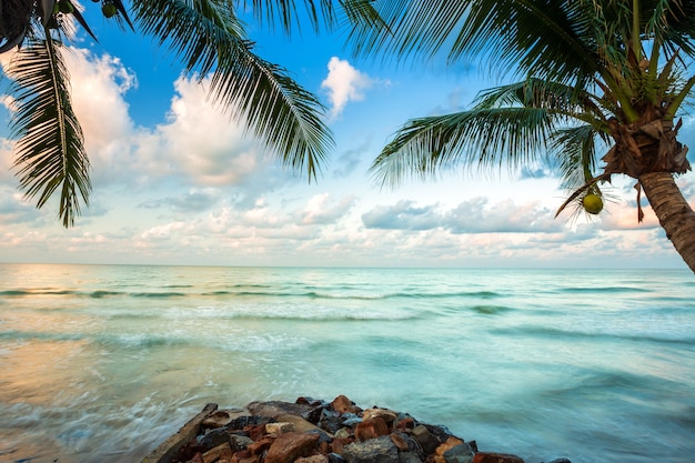 Foto hermoso amanecer temprano en la mañana sobre el árbol de coco con el mar