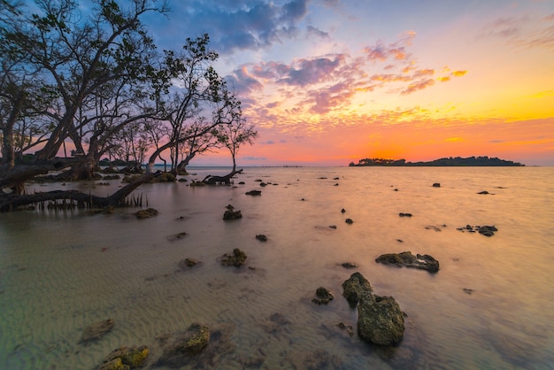 Hermoso ambiente de amanecer en la playa con manglares a lo largo de la costa