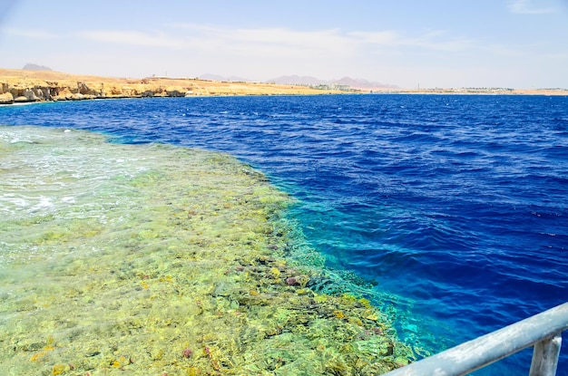 Hermoso arrecife de coral en el mar bajo el agua Egipto Sharm El Sheikh