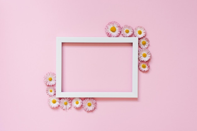 Hermoso arreglo floral Un marco de texto vacío flores de margarita sobre un fondo rosa pastel Día de San Valentín Cumpleaños de Pascua Feliz Día de la Mujer Día de la Madre Espacio de copia de vista superior plana