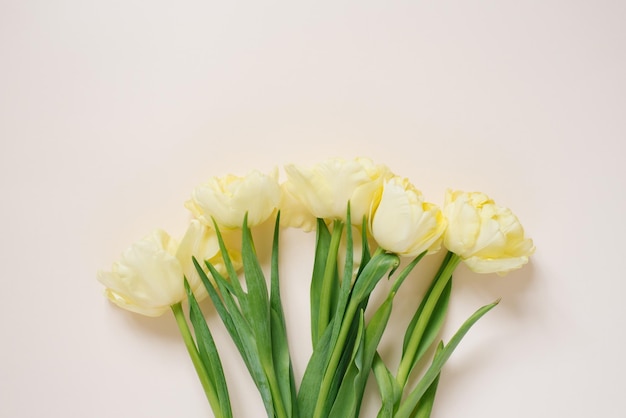 Hermoso arreglo de flores de primavera Flores de tulipanes amarillos sobre un fondo claro Día de San Valentín