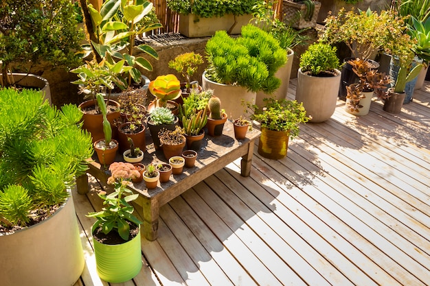 Hermoso arreglo de plantas en invernadero