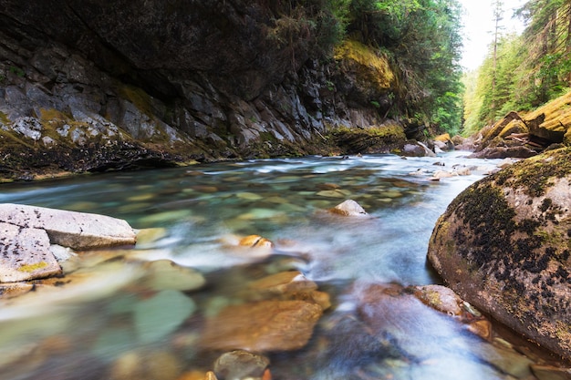 Hermoso arroyo del río de la montaña