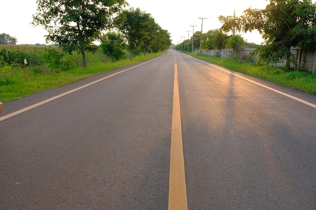 Foto hermoso asfalto amarillo línea centro carretera árbol y poste eléctrico en el campo al atardecer