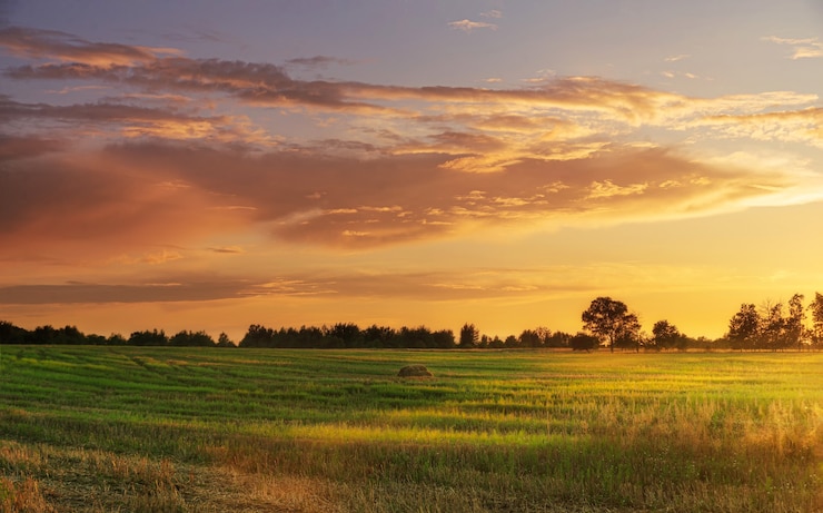 Foto hermoso atardecer con cielo dramático sobre campo agrícola.