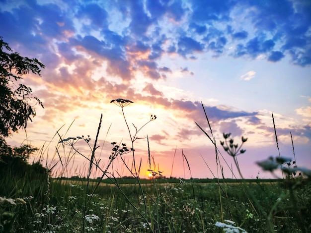 Hermoso atardecer o amanecer en campo con espectacular cielo nublado