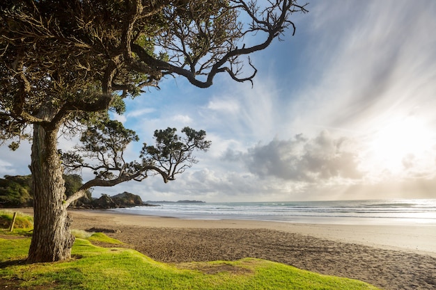 Hermoso atardecer en Ocean Beach, Nueva Zelanda.