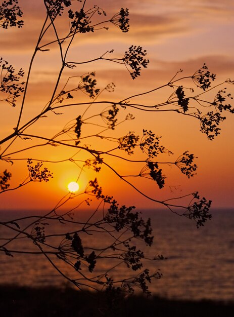 Hermoso atardecer en la playa y el mar