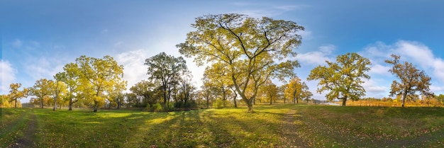 Hermoso bosque otoñal o parque de robles con ramas torpes cerca del río en otoño dorado hdri panorama con sol brillante brillando a través de los árboles