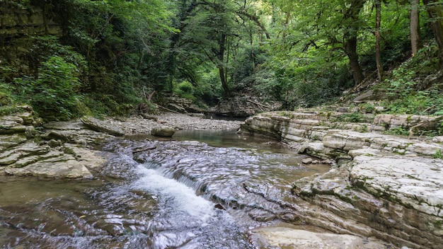 Hermoso bosque y río de montaña en el cañón de Psakho, Krai de Krasnodar, Rusia.