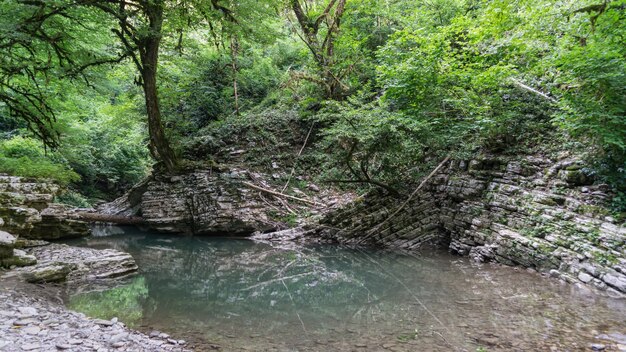 Hermoso bosque y río de montaña en el cañón de Psakho, Krai de Krasnodar, Rusia.