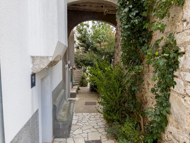 Hermoso callejón en la ciudad de Cres con plantas