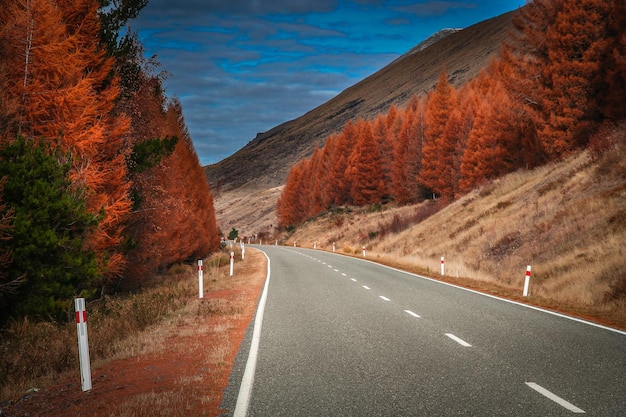 Hermoso camino en los Alpes de Nueva Zelanda