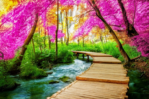 Hermoso camino de madera en el lago de Plitvice, Croacia.