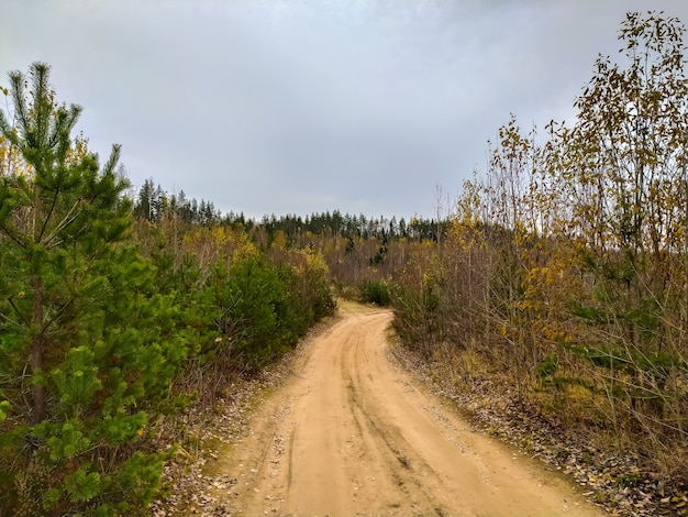 Hermoso camino de ripio en los suburbios de San Petersburgo.