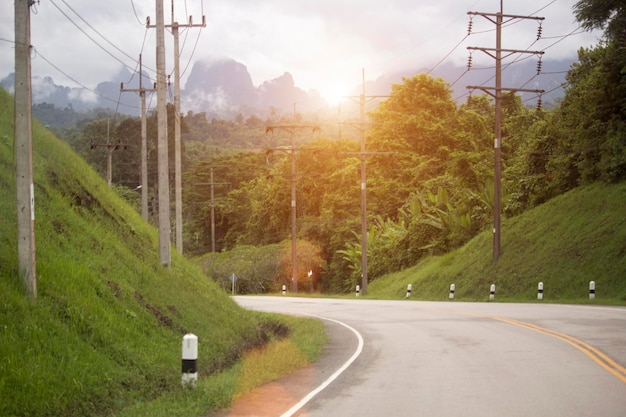 Hermoso camino rodeado de naturaleza verde