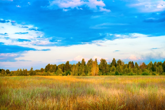 Hermoso campo y bosque con cielo azul al atardecer. Paisaje de campo