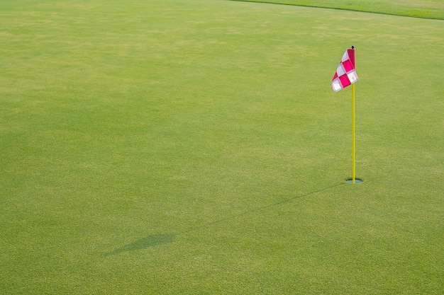 Hermoso campo de golf con bandera y agujero