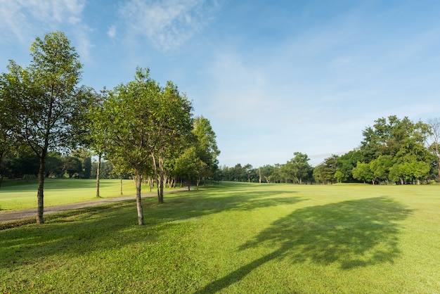 Hermoso campo de golf verde y pradera en el parque