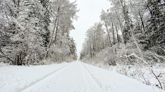 Hermoso campo de invierno con árboles nevados y camino después de fuertes nevadas. Condiciones de conducción peligrosas, carretera resbaladiza.