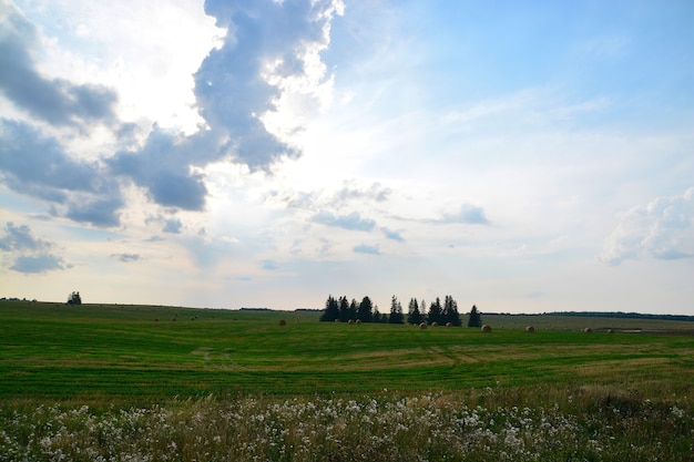 Hermoso campo con pajar y cielo con nubes.