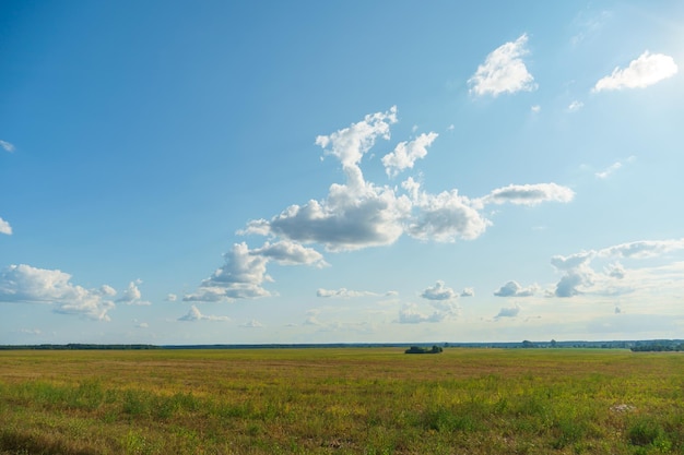 Foto un hermoso campo rural contra un fondo de cielo azul y nubes complejo agroindustrial para el cultivo de cereales trigo legumbres cebada frijoles