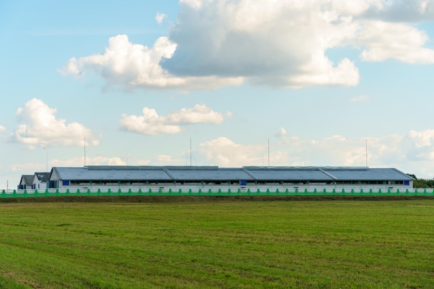 Foto un hermoso campo rural contra un fondo de cielo azul y nubes complejo agroindustrial para el cultivo de cereales trigo legumbres cebada frijoles