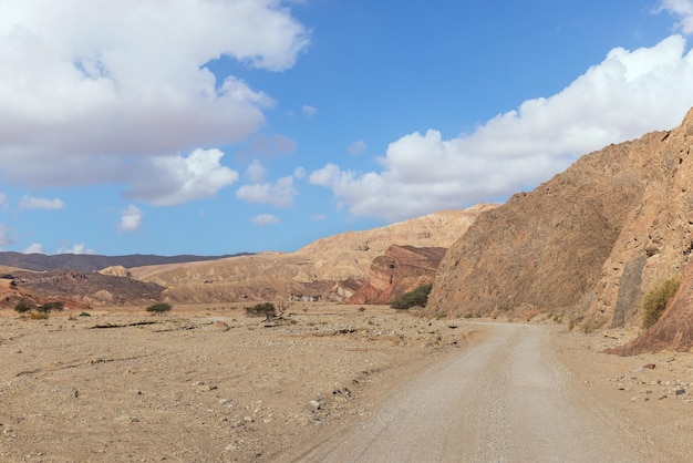 Hermoso Cañón Shkhoret en el desierto de Arava Israel