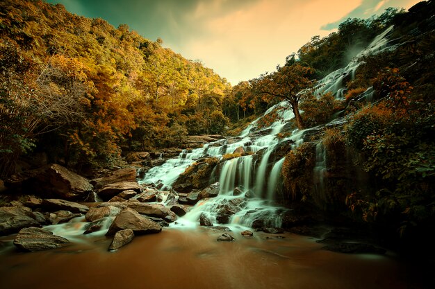 Hermoso de cascada en el bosque tropical.