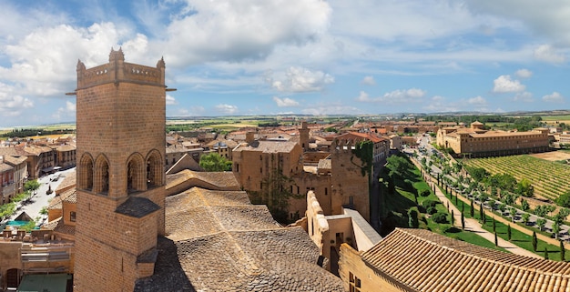 Hermoso castillo Olite en España