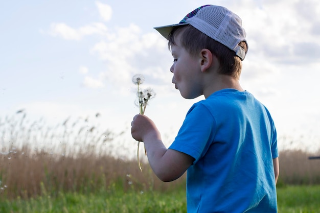 Hermoso chico lindo soplando diente de león Niño con gorra y camiseta azul soplando diente de león