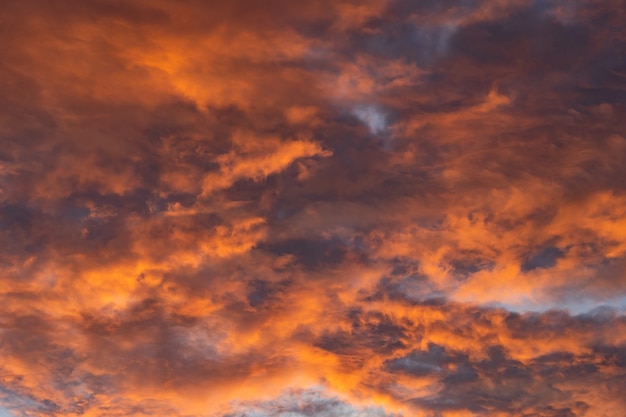 Hermoso cielo al atardecer. Fondo natural. Foto de alta calidad