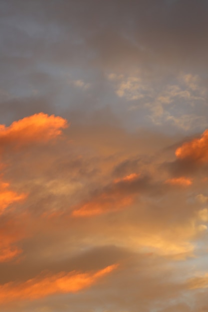 Hermoso cielo al atardecer. marco vertical. Foto de alta calidad