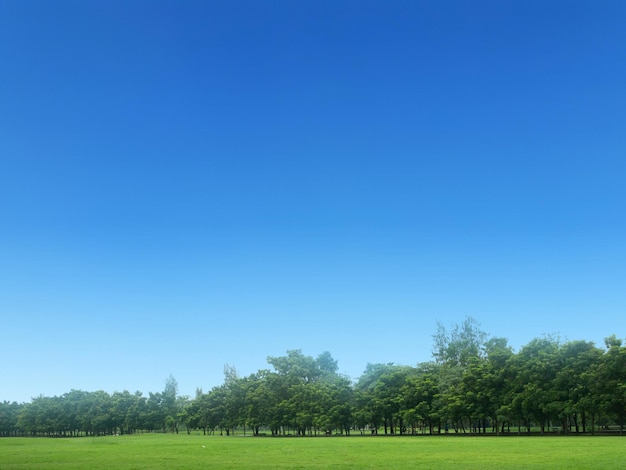 Hermoso cielo azul y nubes con árboles prado fondo de paisaje llano para cartel de verano La mejor vista para las vacaciones