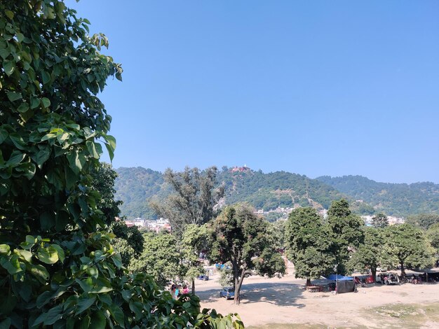 un hermoso cielo cielo azul cielo con árbol hoja verde