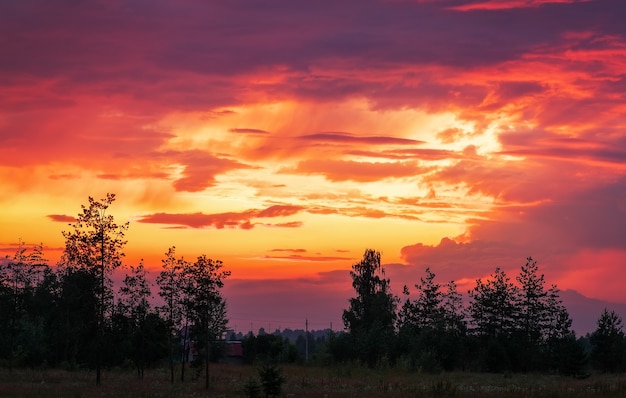 Hermoso cielo colorido durante el atardecer o el amanecer y la cima de los árboles.