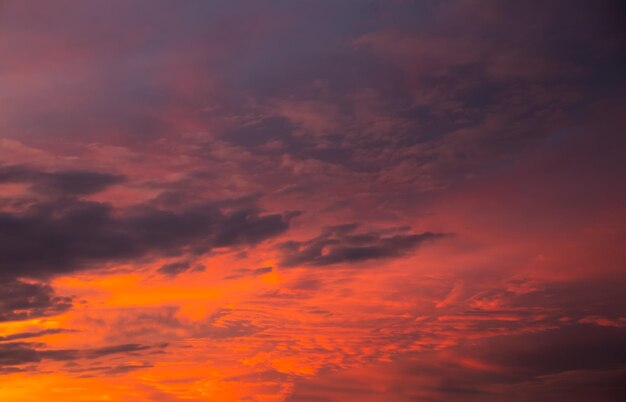 Foto hermoso cielo dramático hora de puesta o amanecer nubes púrpuras increíbles foto de enfoque suave