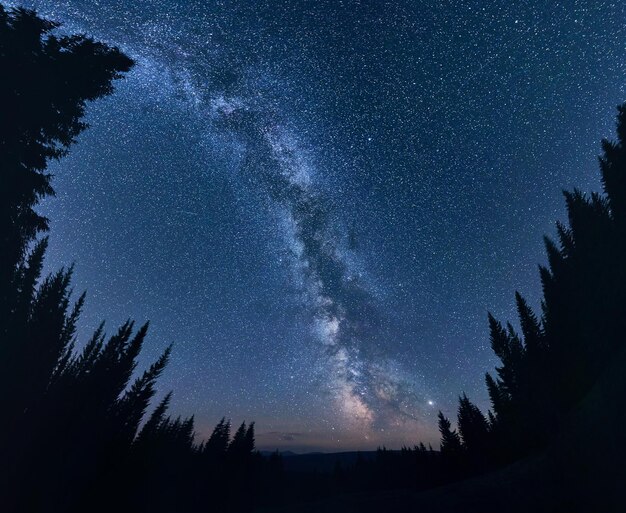 El hermoso cielo estrellado está salpicado de estrellas brillantes en las que la Vía Láctea es claramente visible