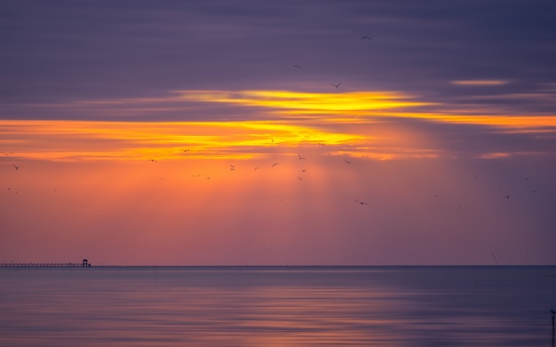 Hermoso cielo de la mañana con una bandada de gaviotas.