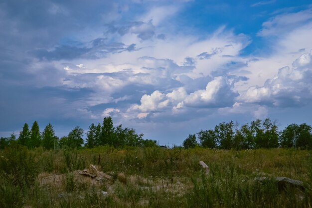 Hermoso cielo y nubes cumulus blancas sobre los árboles y un campo con hierba verde