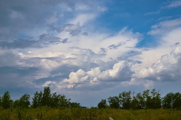 Hermoso cielo y nubes cumulus blancas sobre los árboles y un campo con hierba verde