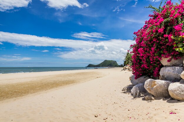 Hermoso cielo con playa y mar tropical.