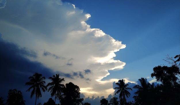 Un hermoso cielo silouteing árboles en la puesta de sol.