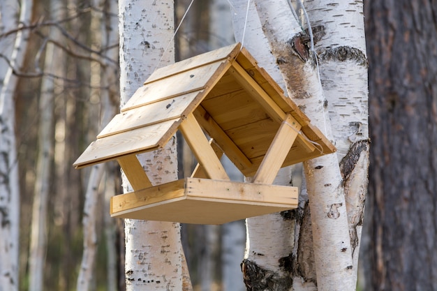 Hermoso comedero para pájaros y ardillas en el bosque