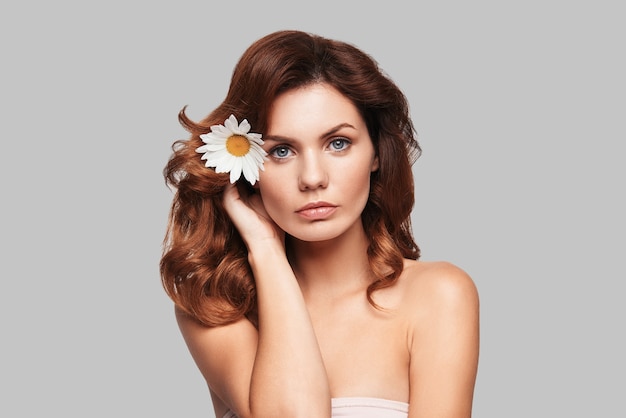 Hermoso como una flor. Atractiva mujer joven mirando a la cámara y manteniendo la manzanilla en el cabello mientras está de pie contra el fondo gris