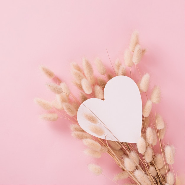 Hermoso corazón blanco con suaves plantas secas sobre fondo pastel